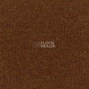 Ковролин Radici Admiral Autunno 631 фото 1 | FLOORDEALER